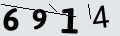 verifycode